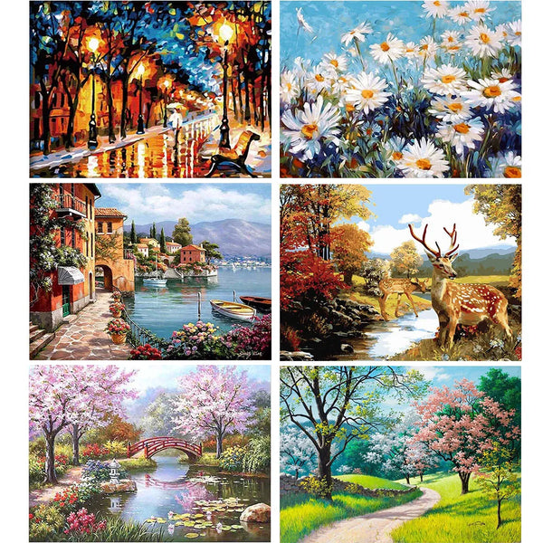 DIY Painting By Numbers Hand Painted Oil Painting Home Decor