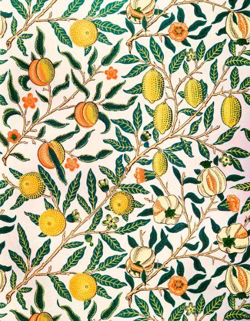 Paint By Number Kit | Flower Pattern By William Morris